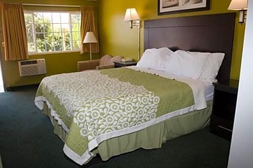 Photo 29