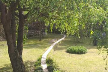Photo 53