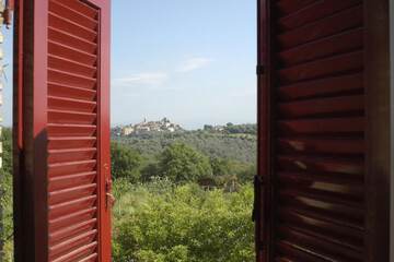 View from room