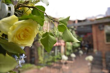Outdoor wedding area