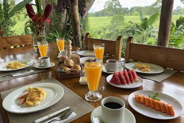 Breakfast meal
