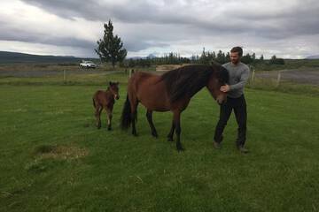 Horseback riding