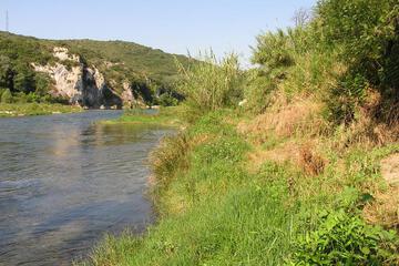 Photo 28