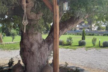 Photo 38