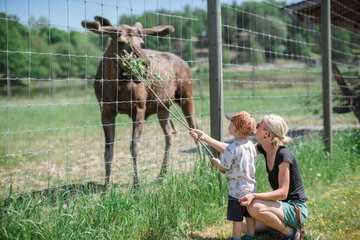 Children's activities
