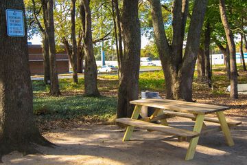 BBQ/picnic area