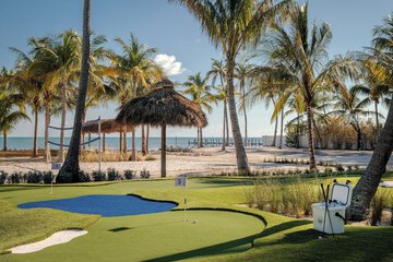 Mini-golf