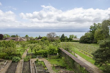 Lake view