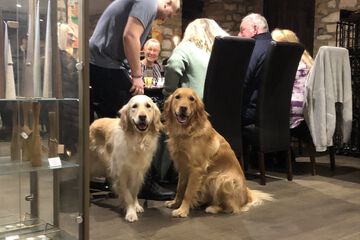 Pet-friendly amenities