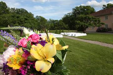Outdoor wedding area