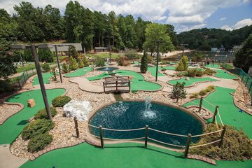 Mini-golf