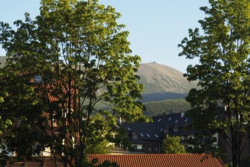 View from room