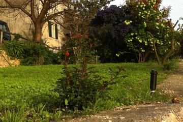 Photo 32
