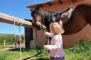 Children's activities