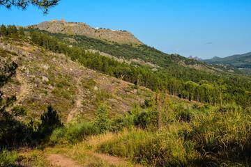 Photo 27