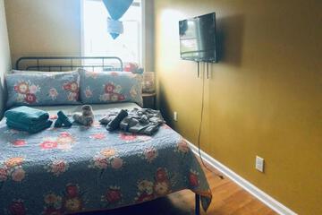 Photo 20