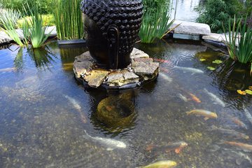 Fountain