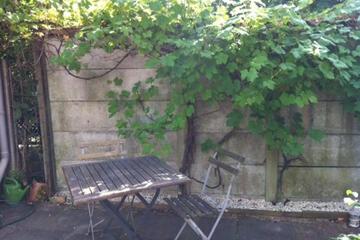 Photo 31