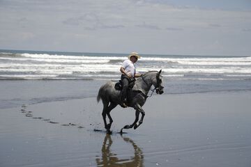 Horseback riding