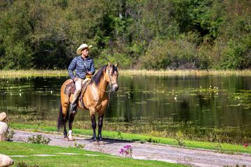 Horseback riding