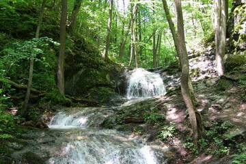 Hiking