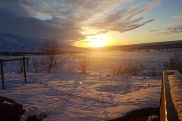 Photo 48