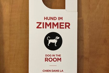 Pet-friendly amenities