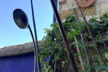 Photo 37