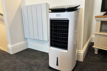 Fan
