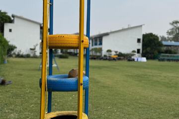 Children's play area - outdoor