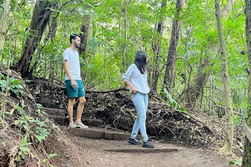 Hiking