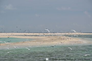 Ecotours