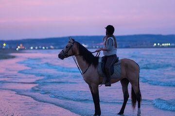 Horseback riding