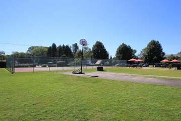 Basketball court