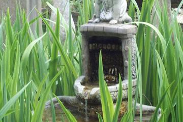 Photo 44