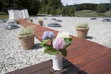 Outdoor wedding area
