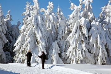 Snow and ski sports