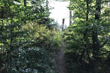 Hiking