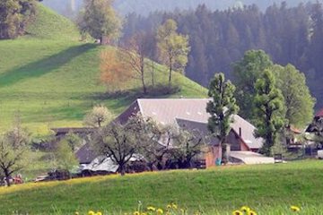 Mountain view