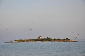 Photo 49