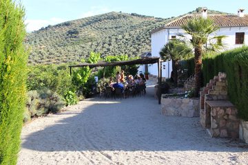 BBQ/picnic area