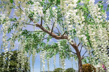 Outdoor wedding area