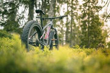 Bicycling