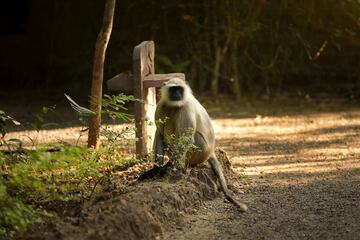 Ecotours
