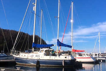 Photo 46