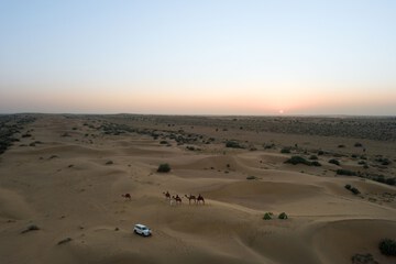Safari