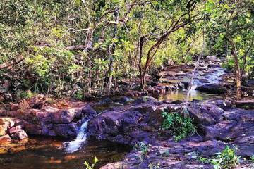 Hiking