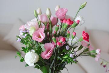 Photo 56