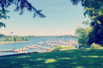 Lake view