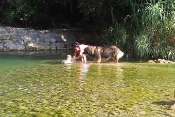 Ecotours